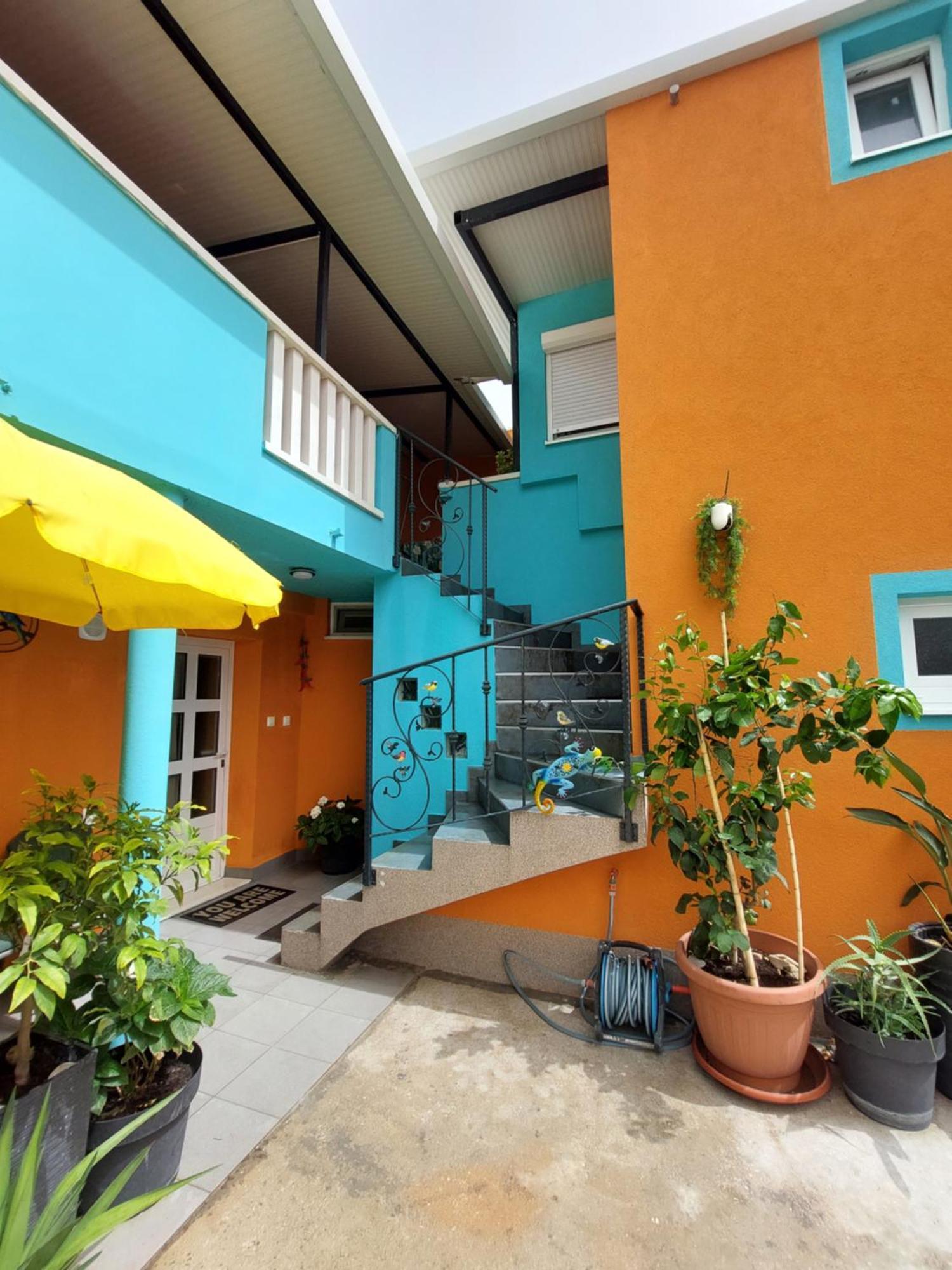 Mexicana Yellow