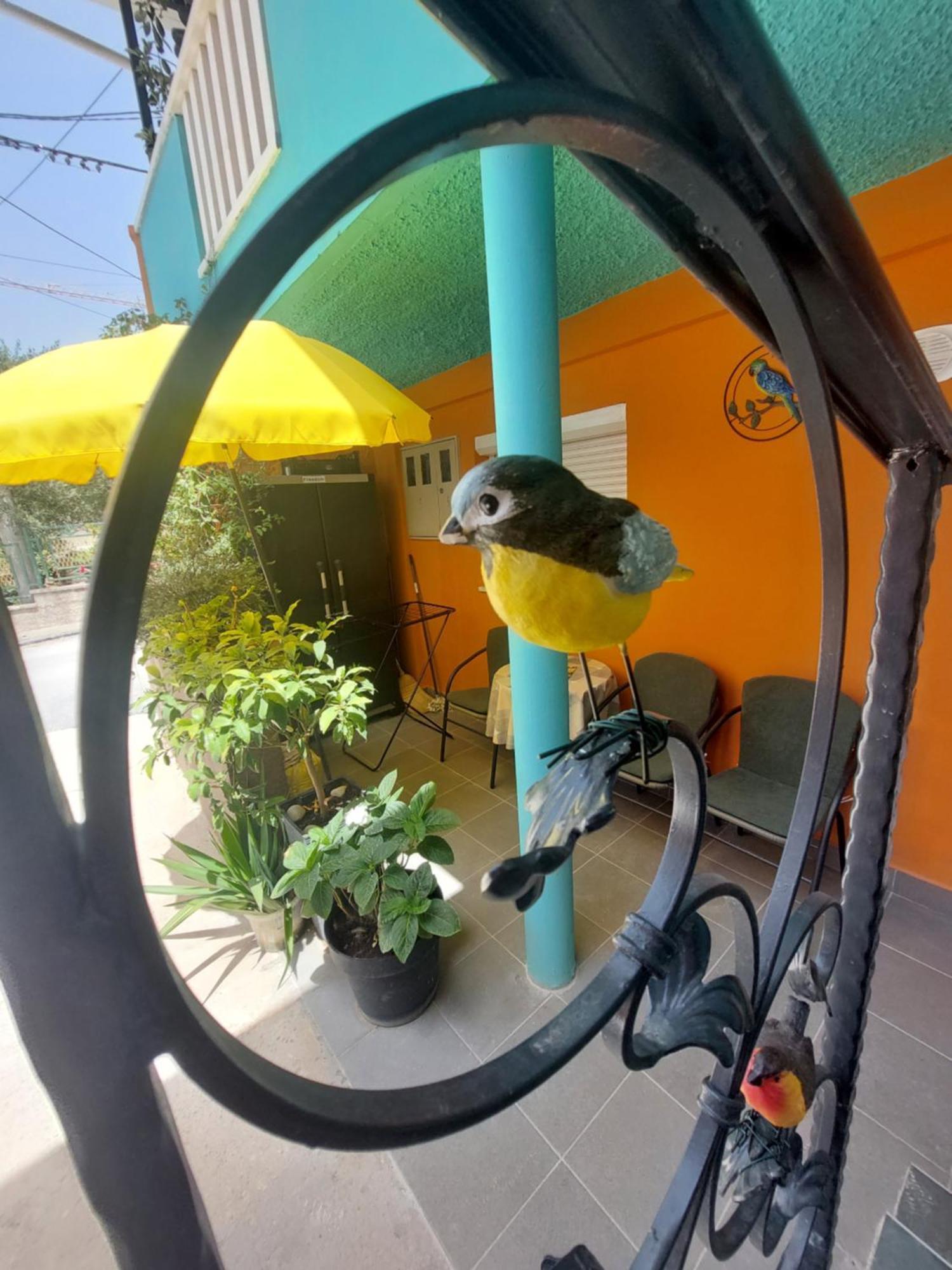 Mexicana Yellow Apartament
