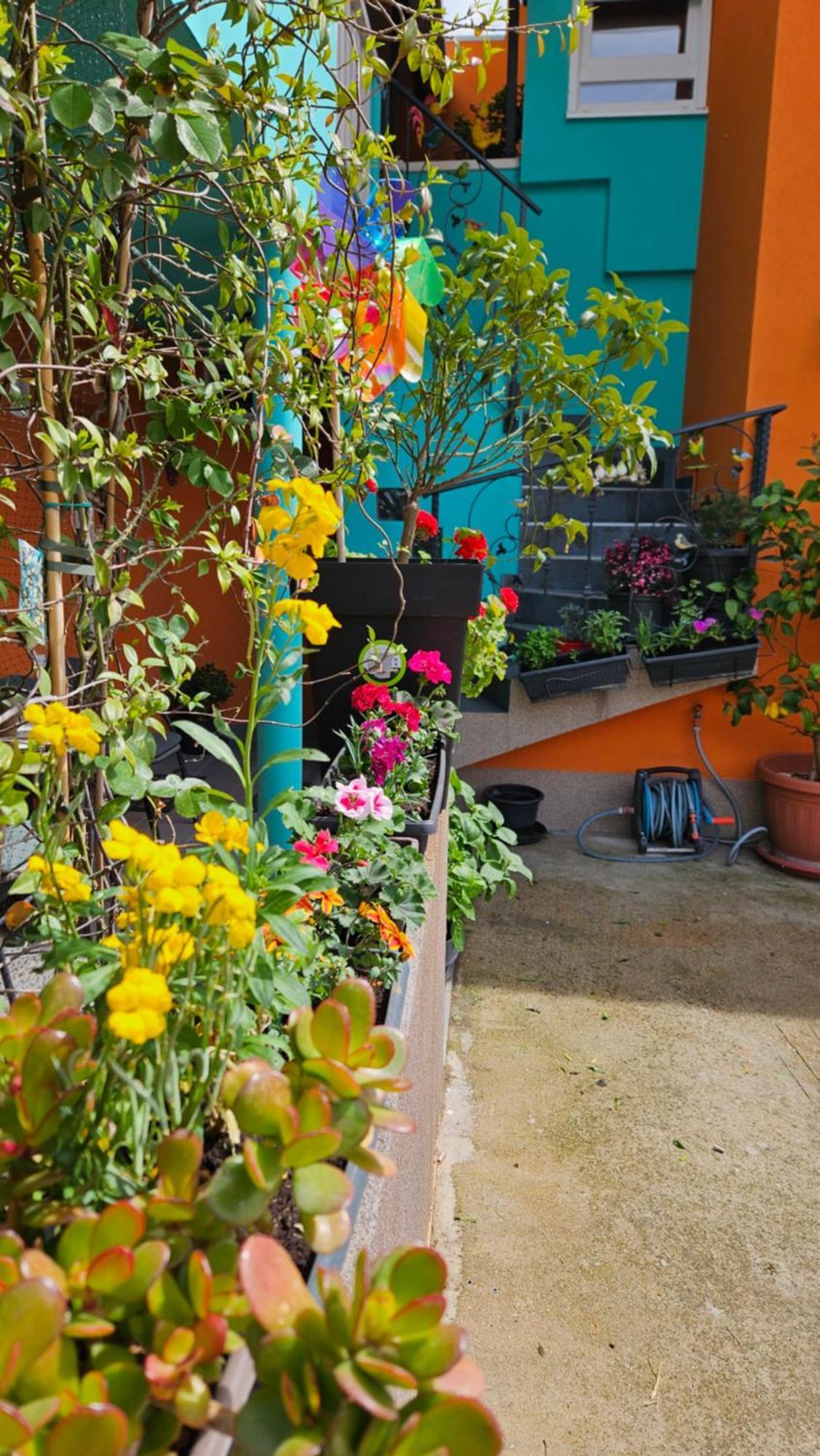 Apartament Mexicana Yellow