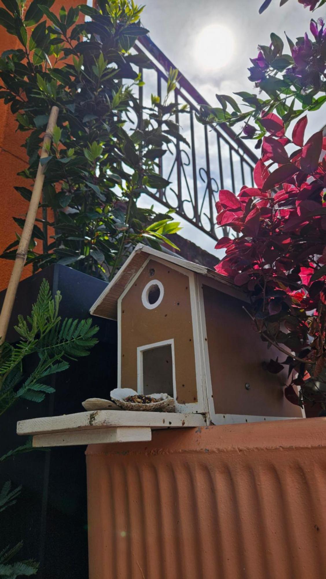 Apartament Mexicana Yellow